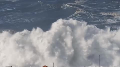 Biggest waves at Nazare, Portugal.