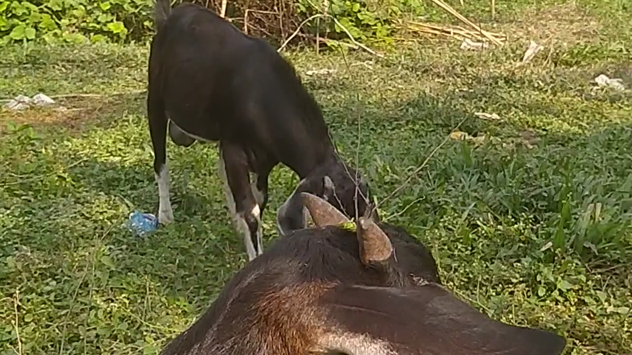 Got farmers, new got farmers with Bangladesh