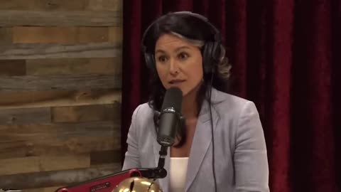 Tulsi Gabbard on the Deep State vs Trump: "He's The Guy That Broke Through"