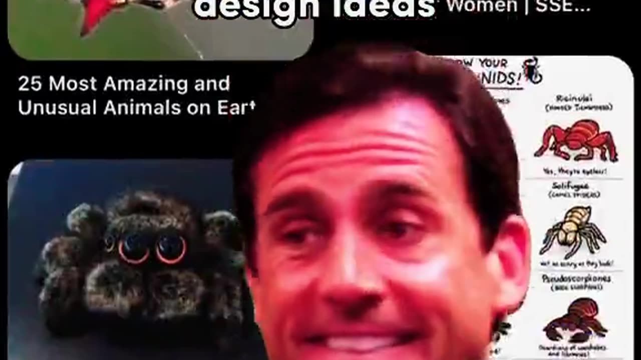 POV: Designing a Spider-Themed Website (But We Hate Spiders!) 🕷️🚫 | Grainger Webdesign