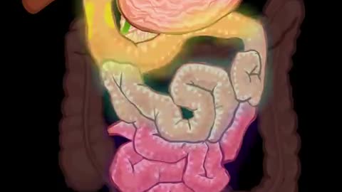 Digestive System | How The Digestive System Works | Animated Music Video |