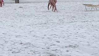 Woman Acting Like a Horse on the Beach