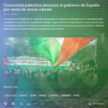 Comunidad palestina denuncia al gobierno de España por venta de armas a Israel