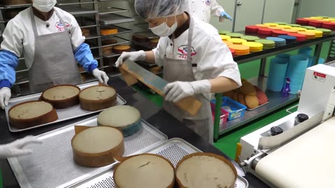 Beautiful colors! Rainbow Cake Sheet Mass Production Factory