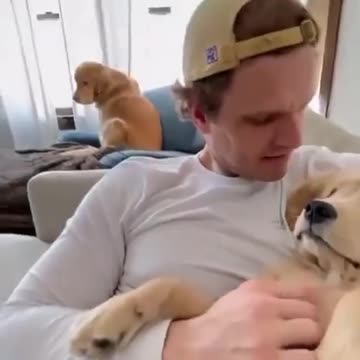 cutepupclipss What abt me?🥺🐶