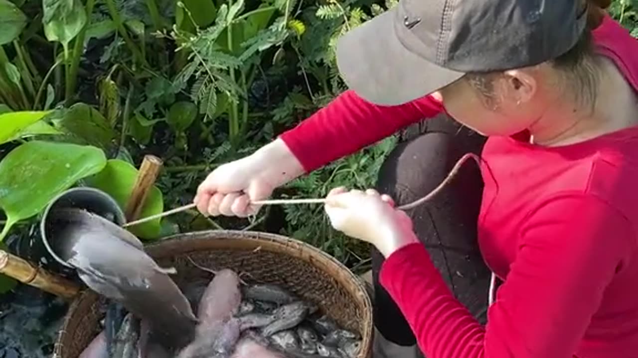 Cacth fish using bamboo traps