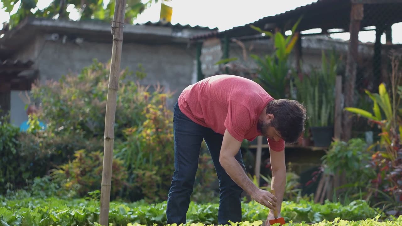 The Green Revolution-Home Gardening with BioChar