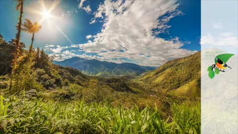 Episode #6 of the Abundant Living Ecuador Podcast