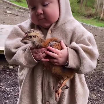 Babies Loves Animal babies