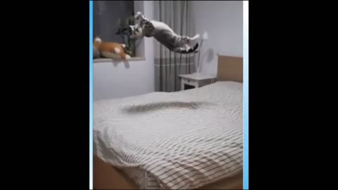 These animals will make you smile