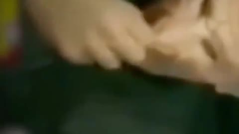 얼굴이 너무 간지러운 교황