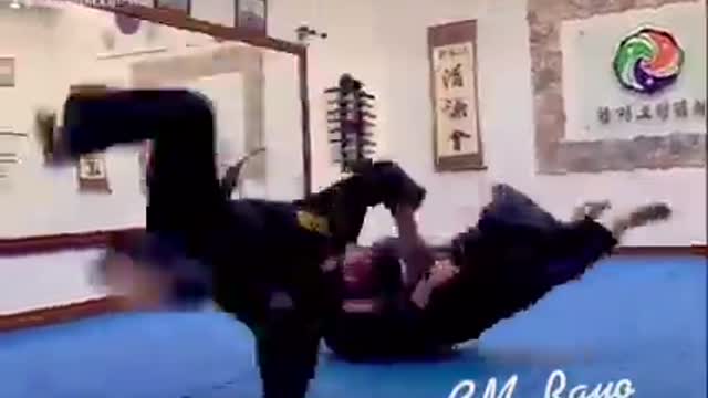 Hapkido