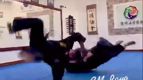 Hapkido