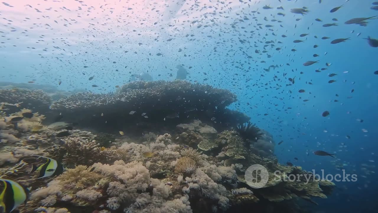 Underwater Explorers: Adventures in Scuba Diving and Ocean Discovery