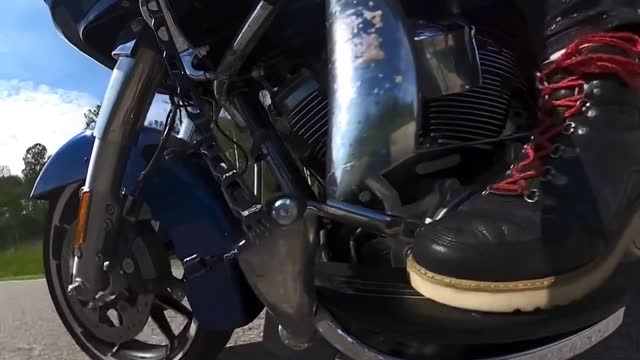 Motorcycle Hits Deer