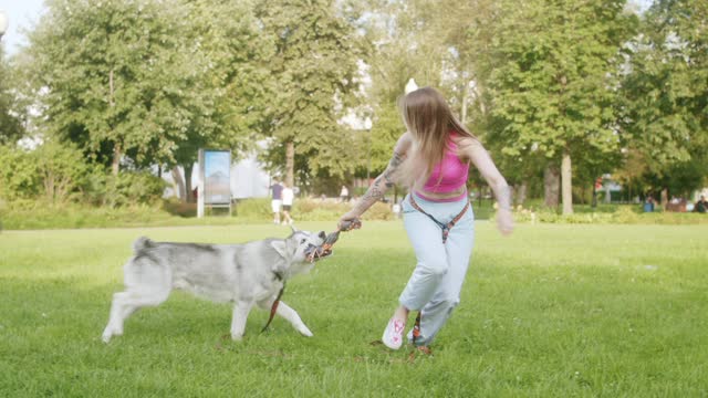 Dog playing with woman in the grass