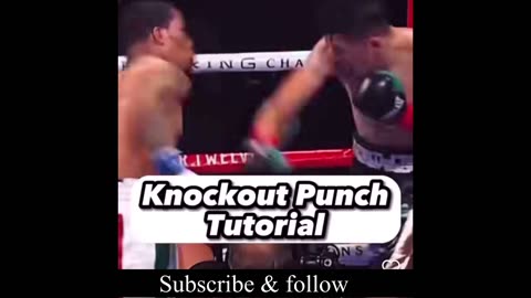 Left uppercut ! Works all the time! Boxing