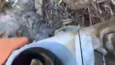 Ukraine - UAV shot down