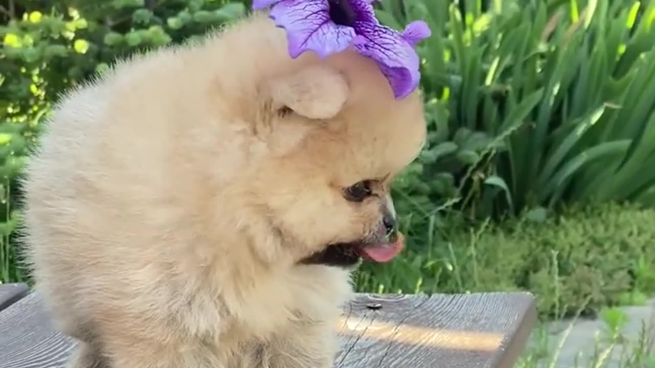 very cute