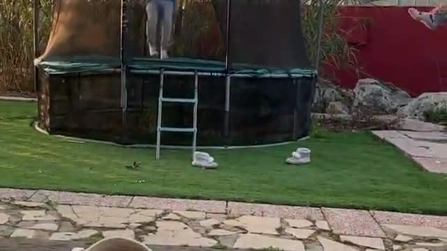 Kid Kicks Ball While Jumping on Trampoline and Shoots it Inside Basket Kept on the Ground