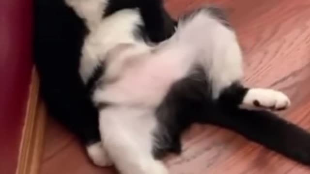 Credit KLR Productions on YT and tik tok