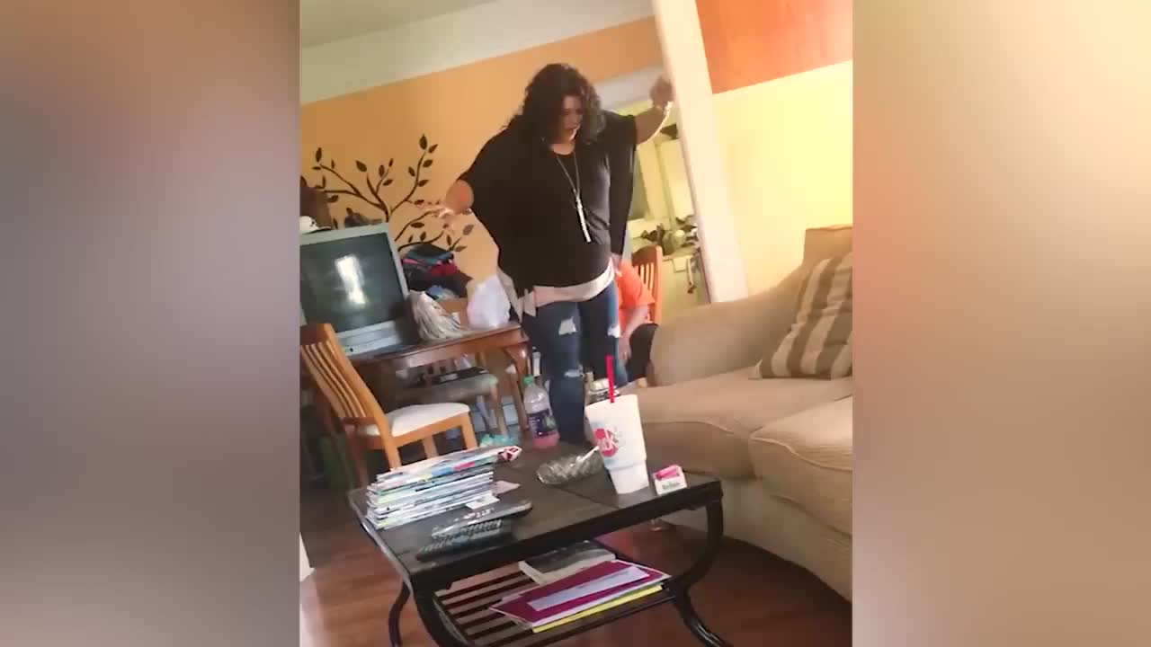 Try Not To Laugh Funny Videos - Funny Pets Doing Dumb Stuff