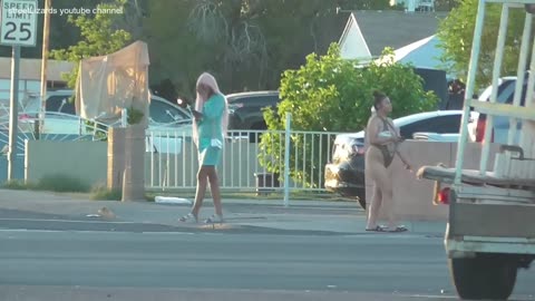 Sidewalk girls