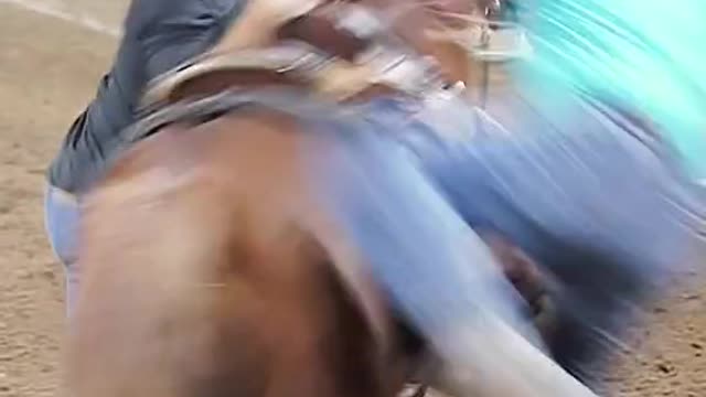 Horse riding Relay