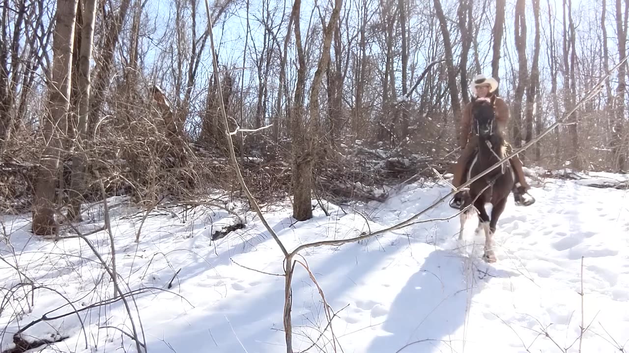 Clearing trail with REAL horse power 15 March 2023