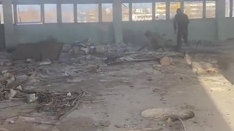 Poslední centra odporu ukrajinských nacistů v průmyslové zóně Severodoněck