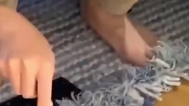 mother cat reaction to owner playing with kitten #shorts