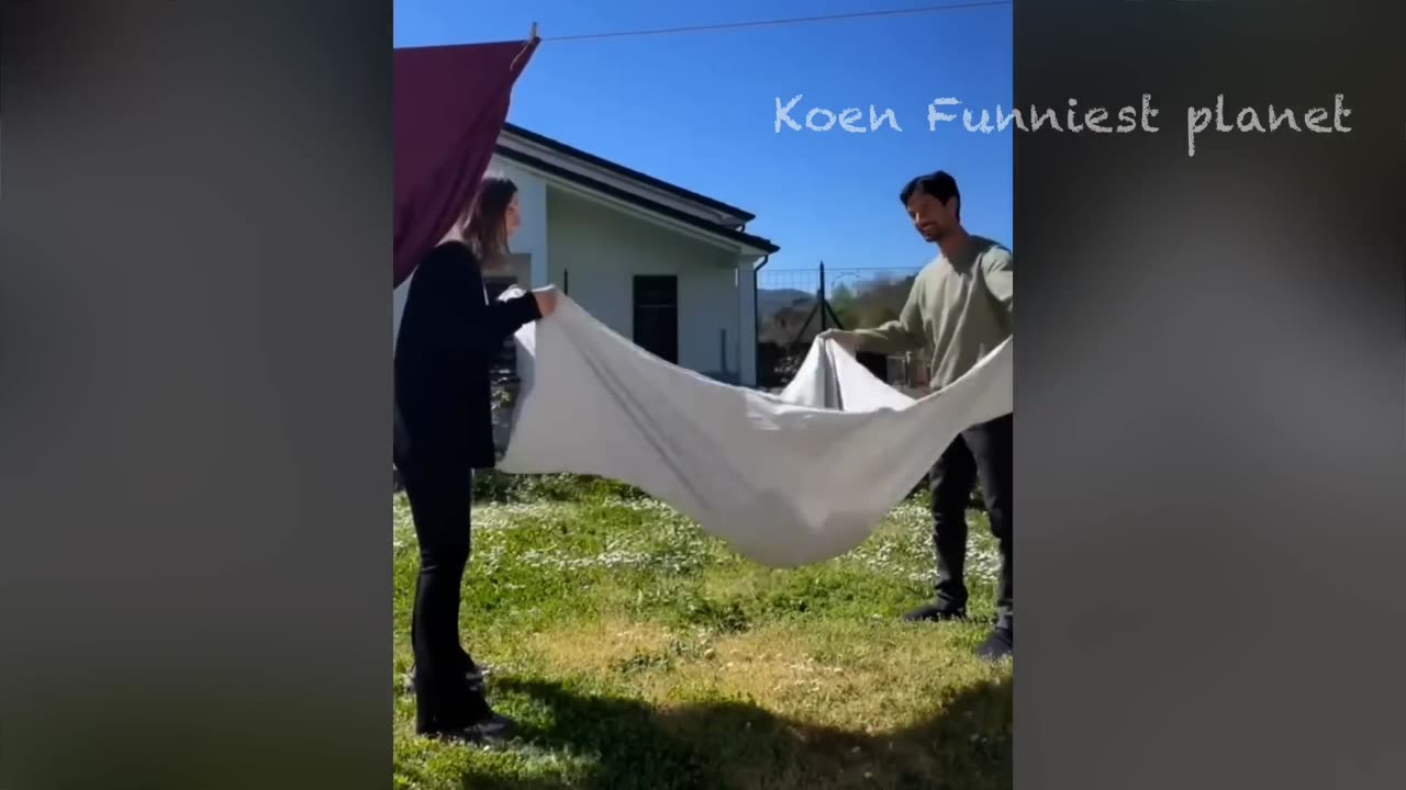 FUNNY ANIMALS 😹🐶 PART 8 😂😂😂😂😂😂😂😂😂