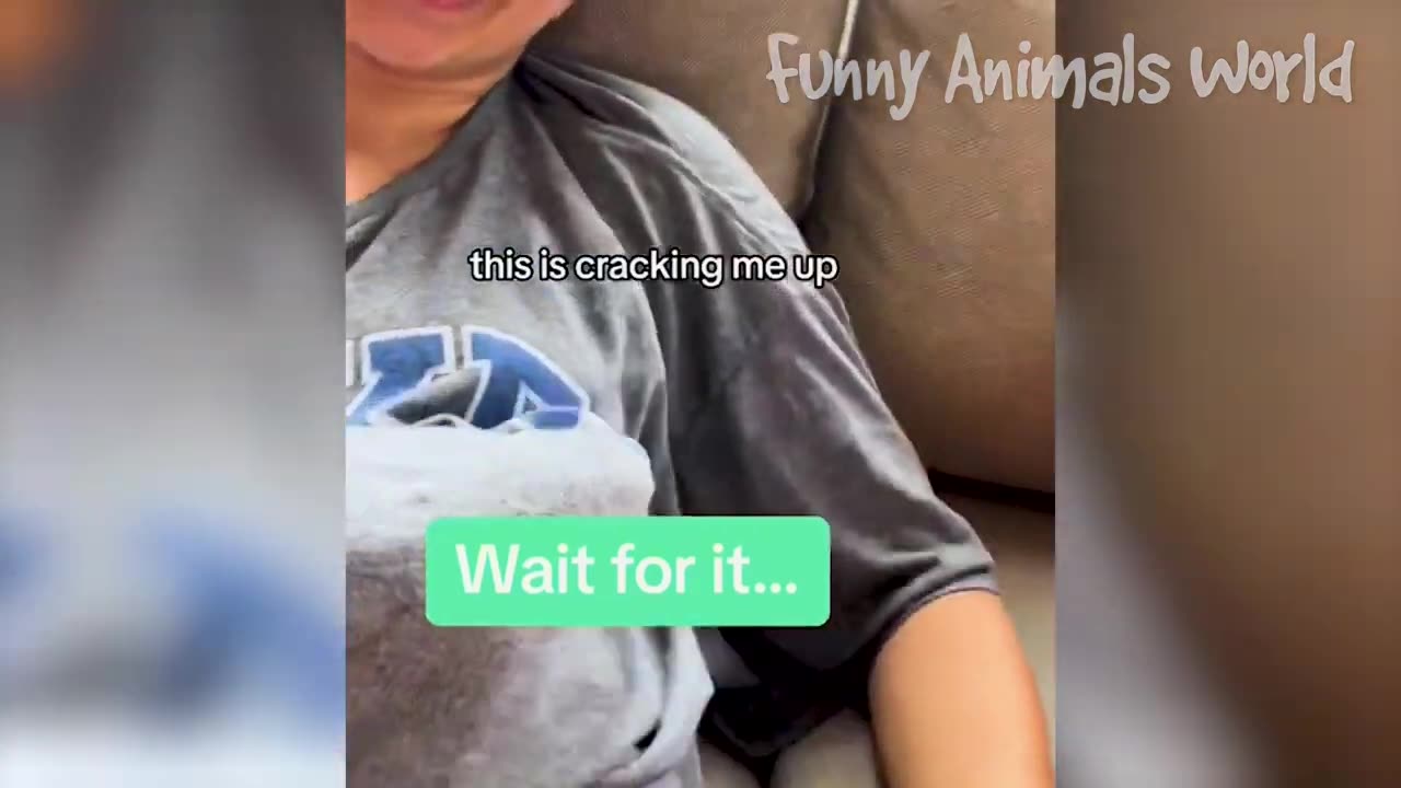 Funny Animal Videos 2023 🥰 - Funniest Dogs and Cats Videos 😅
