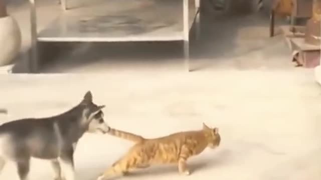 I can't stop laughing๐๐๐