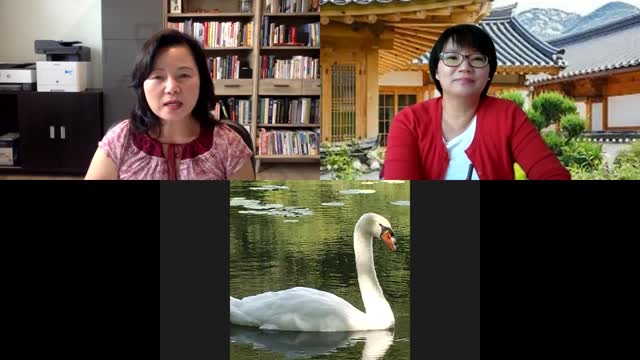 오차원 수다 - 이제 우리 차례다~~~