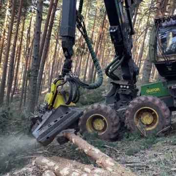 Wood cutting machine#shorts #youtubeshorts #ytshorts