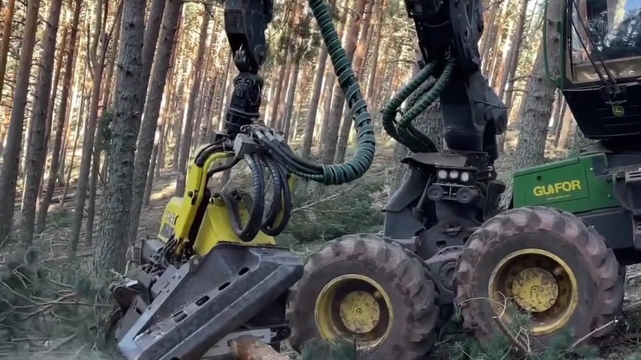 Wood cutting machine#shorts #youtubeshorts #ytshorts