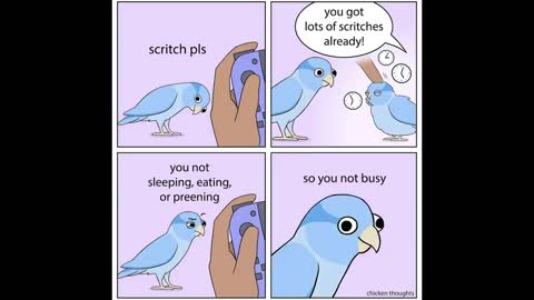 Comics With A Parrot Twist