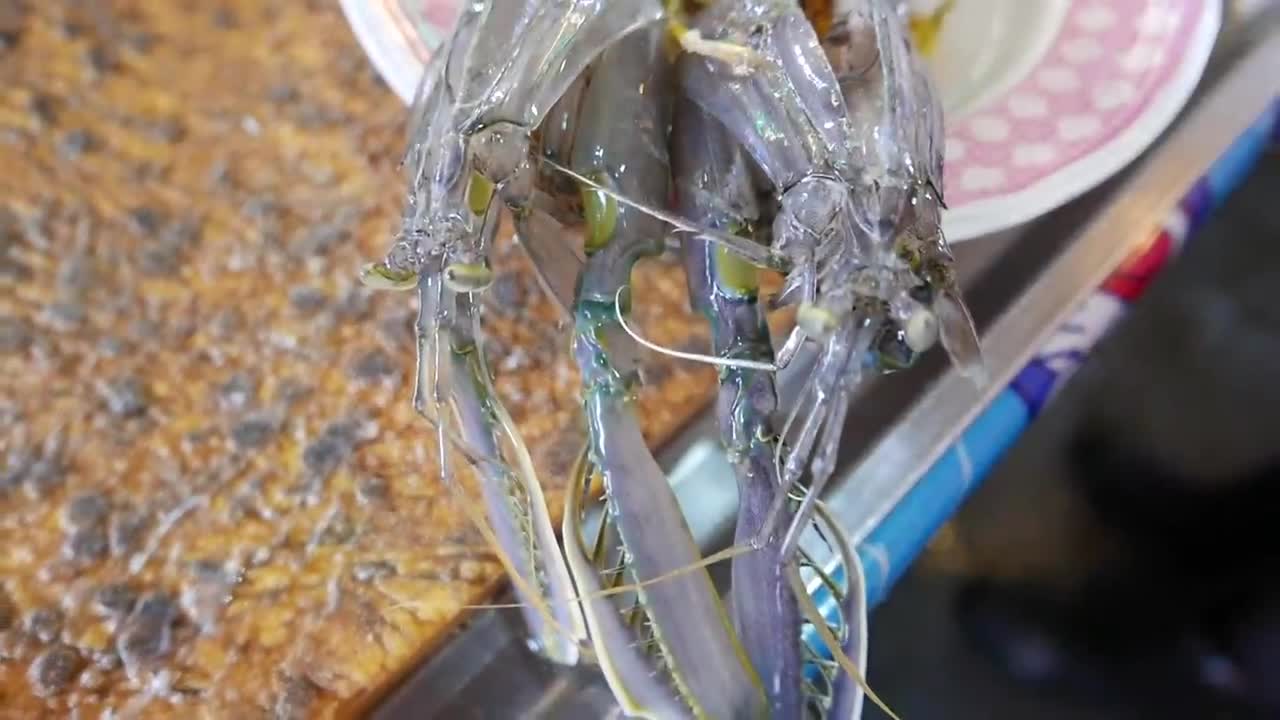 ALIEN SHRIMP Thailand Street Food5