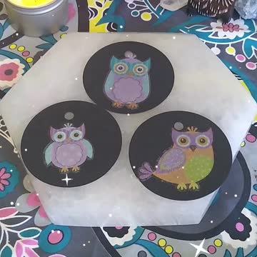 Owl Mail... What Will You Receive? #shorts