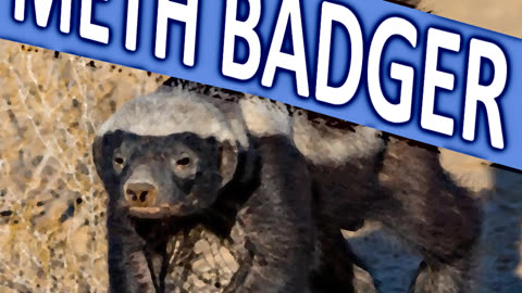 METH BADGER