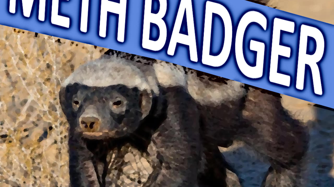 METH BADGER