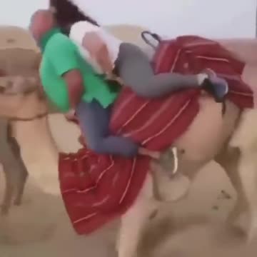 My heart will go on 2 you