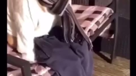 🤣🤣🤣🤣🤣