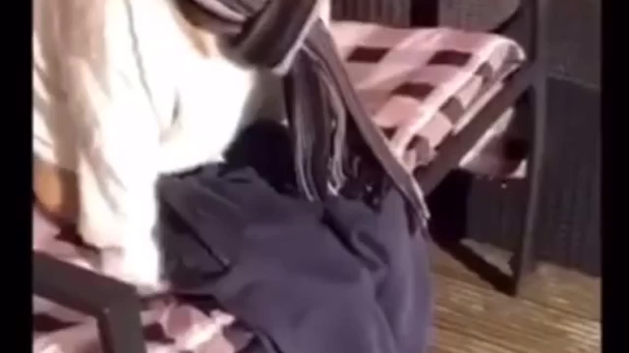 🤣🤣🤣🤣🤣