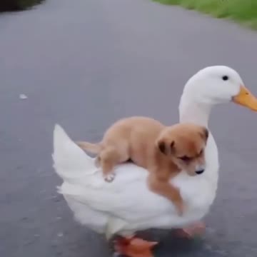 Omg so adorable 😍🥰😘