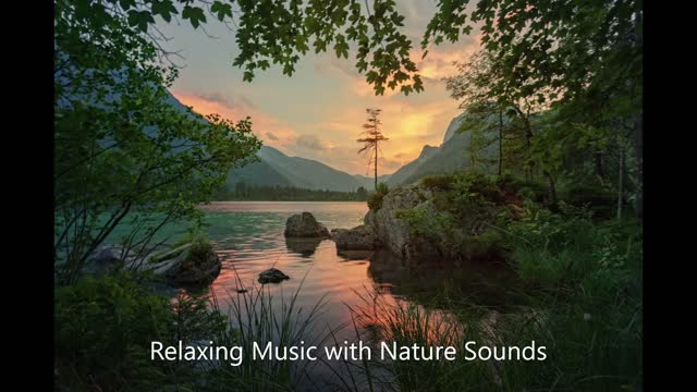 Relaxing Music with Nature Sounds