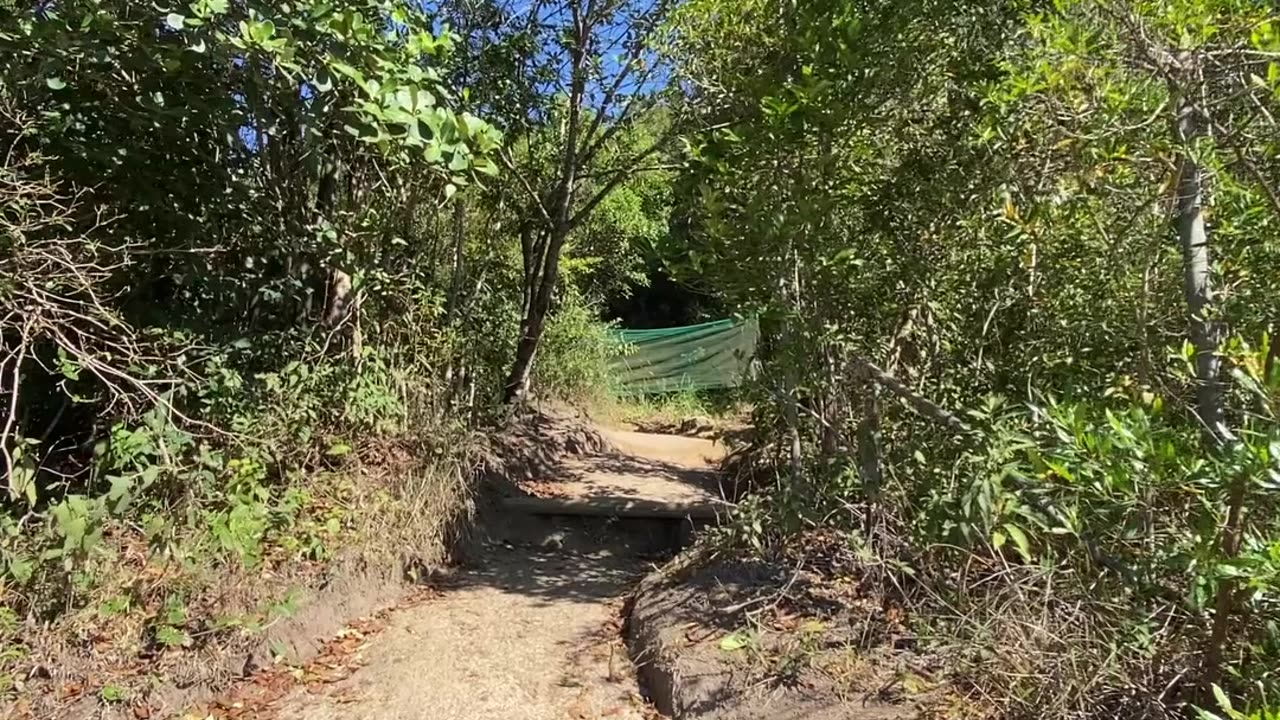 4/19 - Explorando a Trilha do Morro do Macaco em Bombinhas: Uma Experiência Imersiva! #bombinhas