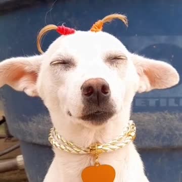 and then now you call me ugly 👇😊😍