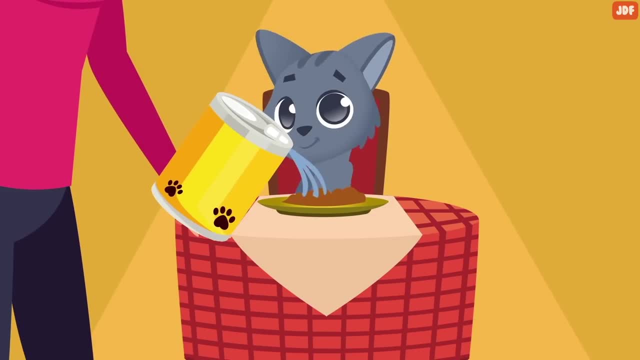 21 Ways You Are Hurting Your Cat Without Realizing-15